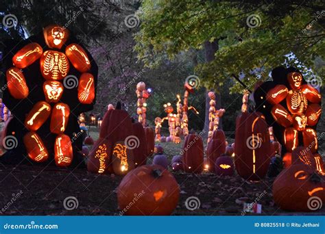 The Great Jack O`Lantern Blaze in Croton-on-Hudson in New York