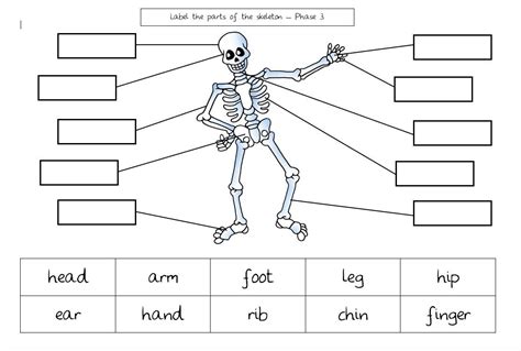 This article will shed some light on the various types of movements in the human body. Free printable download challenge to add the labels to the ...