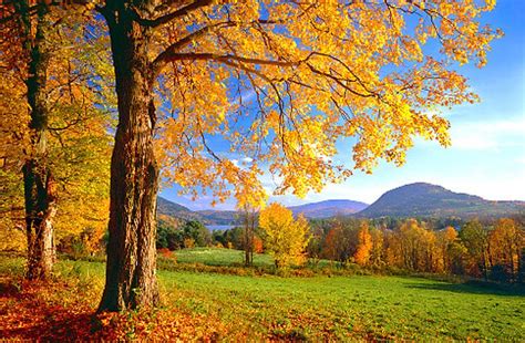 Vermont Hd Wallpapers Top Free Vermont Hd Backgrounds Wallpaperaccess