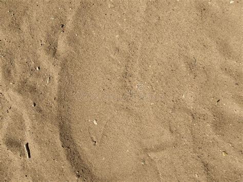 Sand Texture Sandy Beach For Background Stock Image Image Of