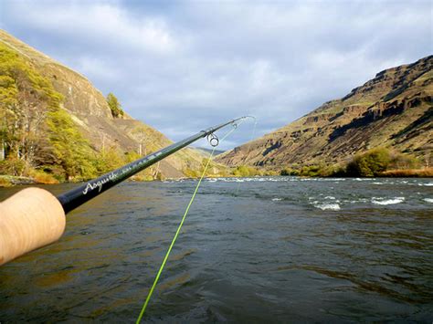 Loomis asquith fly rods are listed here. G. Loomis Asquith Spey » Yellowstone Angler