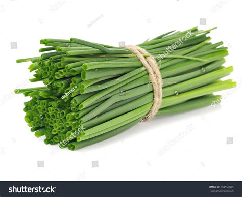 Garlic Chives Leek Leaves On A White Background Stock Photo 194558075