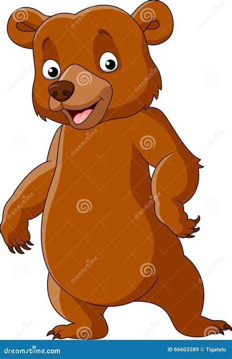 Cute Bear Standing Isolated On White Background Stock Vector