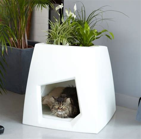 Litter Box Planter It Has A Door In The Back And Can Easily Fit A