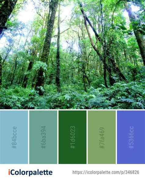 104 Rainforest Color Palette Ideas In 2019 Icolorpalette