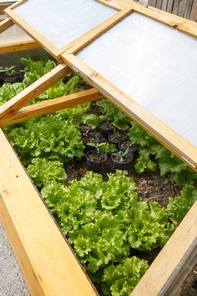 How To Create A Simple Cold Frame To Extend Your Growing Season Cold