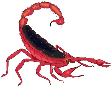 Scorpion Clip Art Hostted Wikiclipart