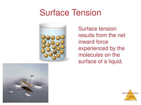 Ppt Chapter Intermolecular Forces Liquids And Solids Powerpoint
