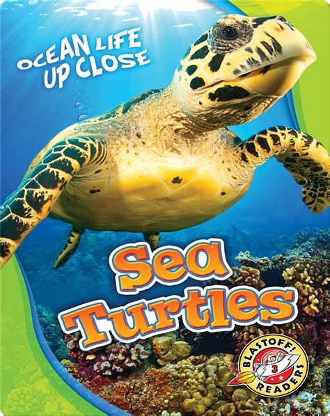 Sea Turtles Childrens Book By Kari Schuetz Discover Childrens Books