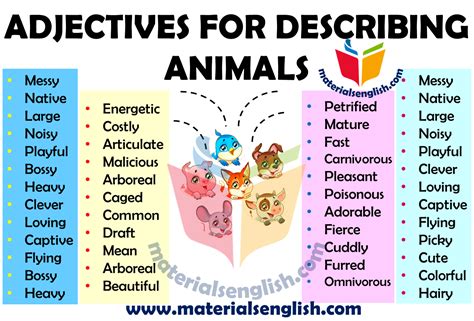 Adjectives For Describing Animals - Materials For Learning English