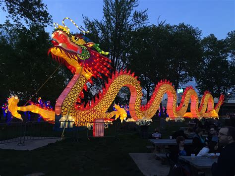 Chinese New Year Dragon Free Photo On Pixabay