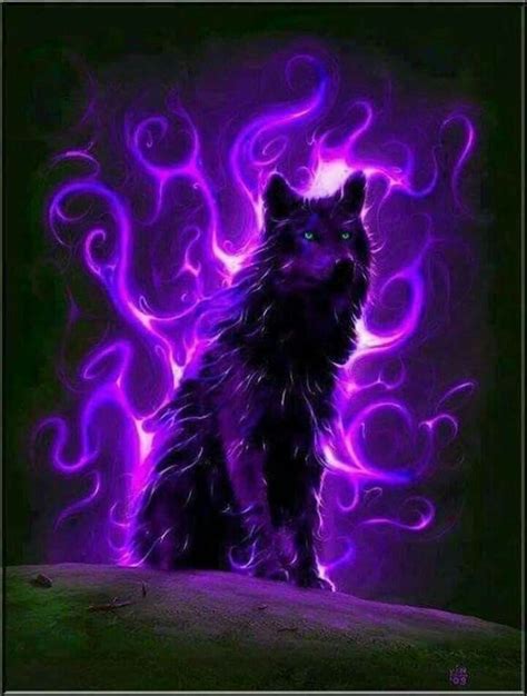 Black Wolf With Purple Eyes Diysus