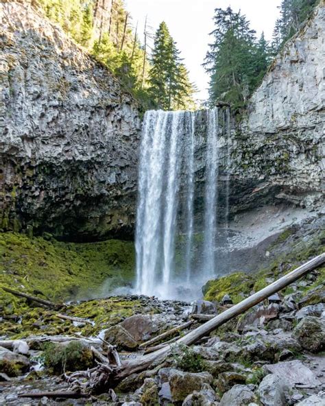 Tamanawas Falls Waterfall Hike On Mt Hood A Complete Guide