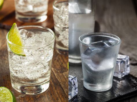 Gin Vs Vodka Which Is Better Organic Facts