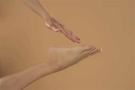 Perfect Clean Female Feet Beautiful And Elegant Groomed Woman S Hand