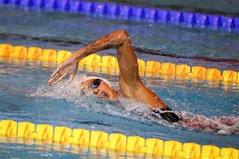 7 Tips For Improving Your Freestyle Stroke