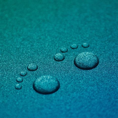 Paw Water Drops Ipad Wallpapers Free Download