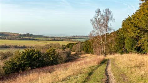 Visiting The Chilterns Countryside │ Bucks National Trust