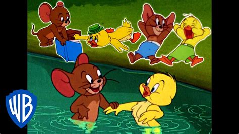 Tom And Jerry Best Of Jerry And Little Quacker Classic Cartoon