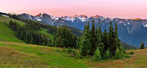 Make The Most Of Your Trip To The Olympic National Park