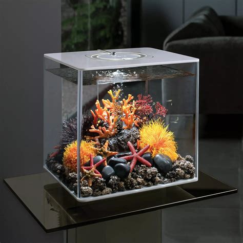 Biorb Aquatic Color Ball Fish Tank Decor Talis Us
