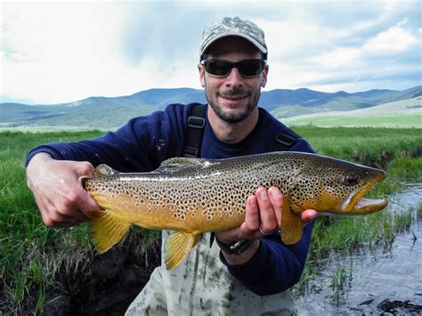 Photos Of The Day For The Love Of Montana Brown Trout Orvis News