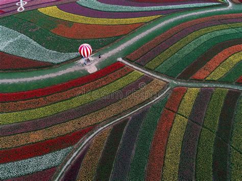 Admire more than 7 million flowers in bloom at keukenhof. Jiangsu Yancheng: The Aerial Photography Of 30 Million ...
