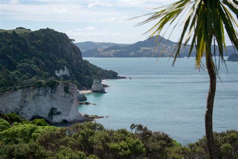 On The Walk Towards Cathedral Cove New Zealand A Scene From Narnia
