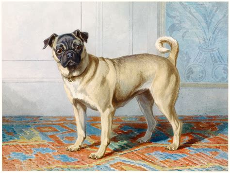 Dog Vintage Painting Old Free Stock Photo Public Domain Pictures