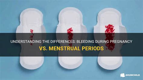 Understanding The Differences Bleeding During Pregnancy Vs Menstrual