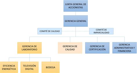 Estructura Organizacional Definici N Tipos Caracter Sticas Y Ejemplos