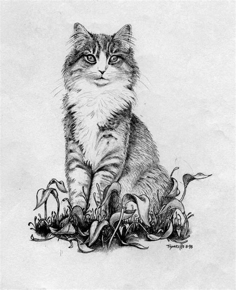 Coondawgs.com offers coonhound classifieds, coonhound stud dogs, coonhound forums, coonhound photo gallery. Maine Coon Cat. Pencil by FrozenPinky on DeviantArt