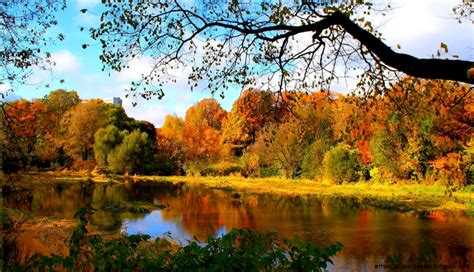River Side Autumn Forest Desktop Background Important