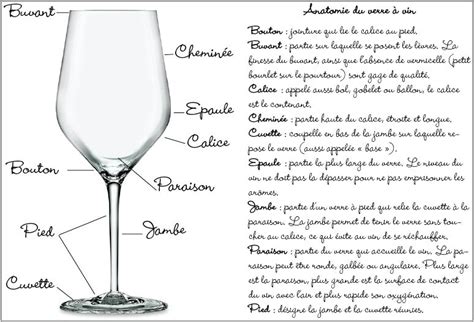 Pin By Discover Information On Le Vin Les Bases Wine Basics Wine Basics Wine Glass Wine
