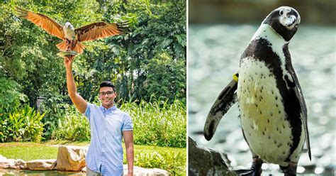Sprawling around 20.9 acres of land how to get to the kuala lumpur bird park? Jurong Bird Park celebrates Golden Jubilee birthday with S ...