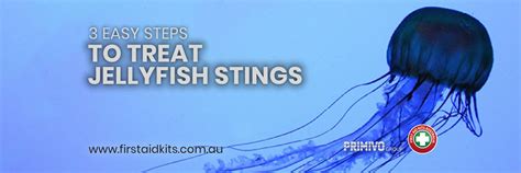 3 Easy Steps To Treat Jellyfish Stings The First Aid Kits Australia