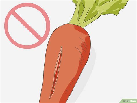 Cómo seleccionar y almacenar zanahorias 12 Pasos