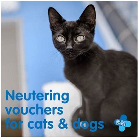 Spaying/neutering your pet can help reduce pet overpopulation and improve the quality of your toronto humane society operates public veterinary services through a social enterprise model. Free Cat & Dog Neutering Vouchers