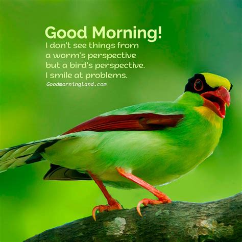 Stunning And Free Good Morning Birds Graphics And Images Good Morning