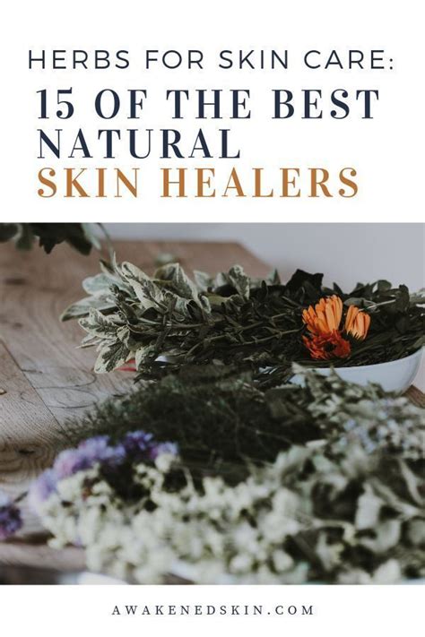 Herbs For Skin Care 15 Of The Best Natural Skin Healers