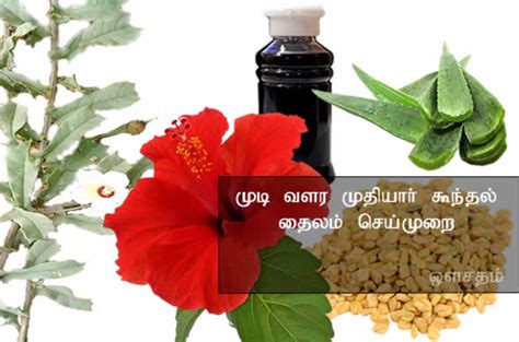 Hi friends aswini homeo arnica hair oil uses and benefits : முடி வளர முதியார் கூந்தல் தைலம் - Mudi valar mudhiyaar ...