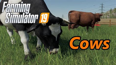 Farming Simulator 19 Tutorial Cows Youtube
