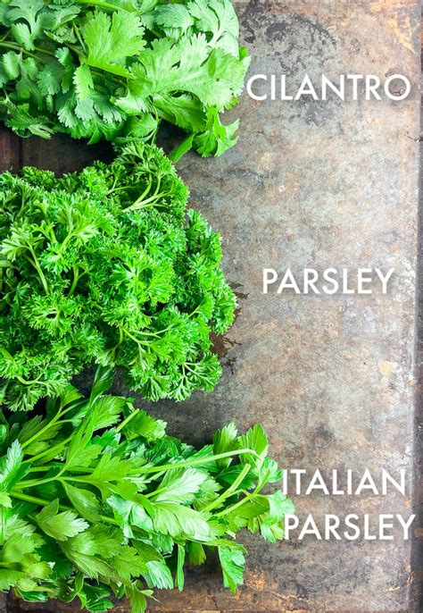 Ultimate Guide To Cooking With Herbs Lifes Ambrosia