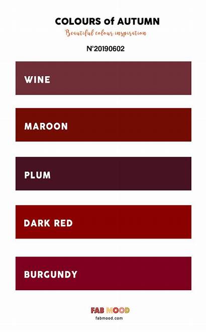 Autumn Maroon Burgundy Wine Palette Plum Dark