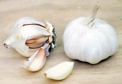 Bawang putih bukan sekadar bumbu penyedap masakan. Makan Bawang Putih Mentah Bikin Jantung Sehat