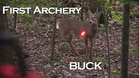 First Archery Buck Wild Bout Huntin Youtube