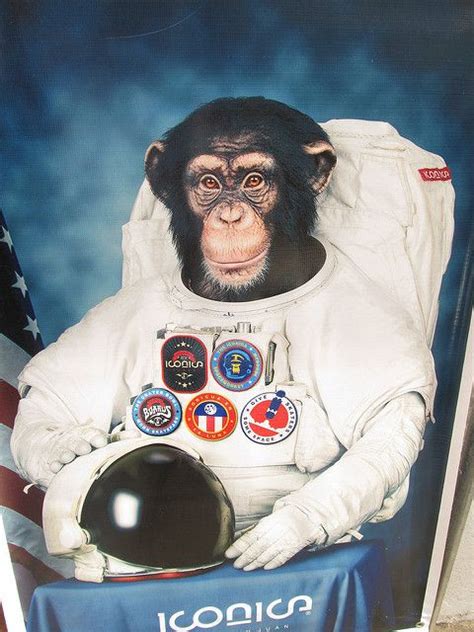 Chimpanze Astronaut