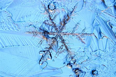 Natural Ice Crystal Snowflake Stock Photo Image Of Cool Christmas