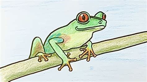 How To Draw A Realistic Tree Frog