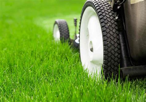 Why Hiring A Lawn Care Service Is Worth It Best Pick Reports